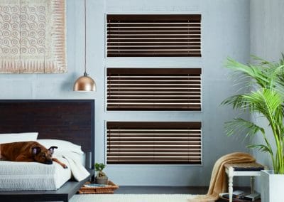 horizontal blinds on window